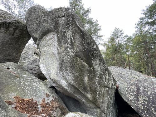 Image of Torchon Chiffon Carpette (7b+)